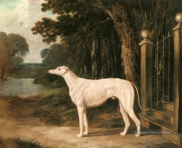 John Frederick Herring Sr œuvres - Vandeau Un Greyhound Blanc 2 Harengs Snr John Frederick Cheval